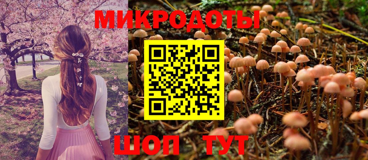 где купить наркоту  Псилоцибиновые грибы Magic Shrooms  Кстово  Вход с VPN  Галлюциногенные грибы MAGIC MUSHROOMS 